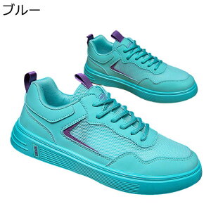 Xj[J[ JWAV[Y Y  bV ʋC X|[cV[Y [Jbg  XP{[V[Y ~ y EH[LOV[Y ʊw ʋ nCLO s j