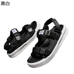 Y T_ r[`T_  RtH[g X|[cT_ ~ JWA ϋv ʋC hCrOV[Y ėp 傫TCY WMOT_ EH[LOT