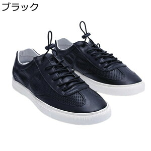  YV[Y bVV[Y  U[ {v XP[g{[hV[Y JWA X|[cV[Y ʋC 傫TCY vC EH[LOV[Y  ^C Xj[J