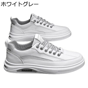 Xj[J[ Y bV JWAV[Y  X|[cV[Y  h XP[gV[Y ^C EH[LOV[Y ʋC 풅p g[jO jO  AEgh