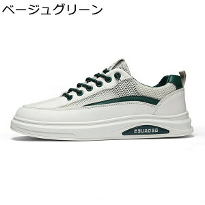 Xj[J[ Y bV JWAV[Y  X|[cV[Y  h XP[gV[Y ^C EH[LOV[Y ʋC 풅p g[jO jO  AEgh