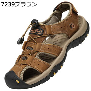 T_ O r[T Y AEghA X|[c ~ ^T_ r[`T_ ʋC  y JWA hCrOV[Y ėp   傫TCY oRT