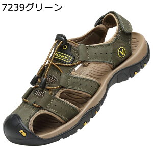 T_ O r[T Y AEghA X|[c ~ ^T_ r[`T_ ʋC  y JWA hCrOV[Y ėp   傫TCY oRT