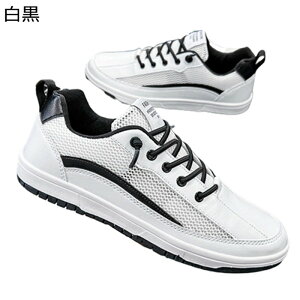 Xj[J[ Y  bV JWAV[Y ʋC X|[cV[Y y ₷ [Jbg  ^C EH[LOV[Y g[jO jOV[Y  