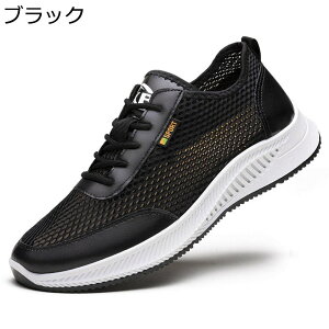 Y bVV[Y y Xj[J[ ^C jOV[Y  [Jbg hCrOV[Y ʋC  Ȃ X|[cV[Y i JWA AEghA W