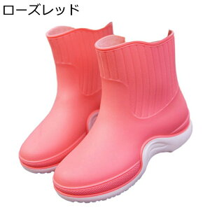 Cu[c Z V[g RbgJo[ CV[Y fB[X Xm[u[c O\ h ɂȂ y Ȃ GWjA JWA _ ~J J t  H ~