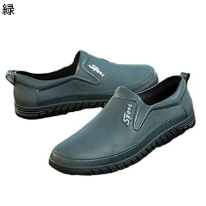 Cu[c V[g ꂢ񂵂[ Y hV[Y GWjAu[c H ɂ ϖ ~ GWjA JWA 炩 O ʊw  Jp tďH~