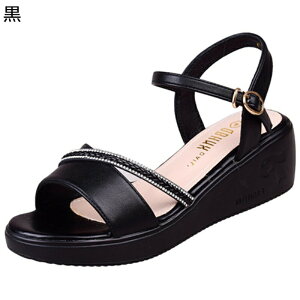 T_ U[ CXg[ XpR[ {v fB[X nCq[ bXgbv EFbWq[ Xgbv ꂢ ZNV[  ₷ ӂ Ȃ ėp