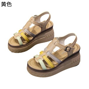 EFbW\[ OJT_ T_ ҂ݏグ pb`[N Rr SVbN fB[X nCq[ Xgbv ₷  JWA ig   p ėp