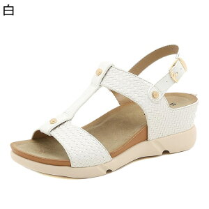 T_ r[`T_ ҂ݏグ obNXgbv fB[X bXgbv EFbW\[  ~hq[ Xgbv ʋC Ȍ ꂢ E  ip tF~j 