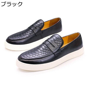 Y vC [t@[ rWlXV[Y Xb| {v U[ ɂȂ ₷ pvX pC\  ʋC h 傫TCY JWA AE N[g hL y