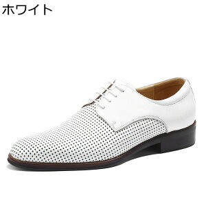 Y vC rWlXV[Y  ėp _[r[V[Y OH [XAbv JWAV[Y Ȃ  EH[LO ʋC K 傫TCY X[cV[Y  hL 