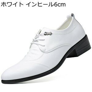 vC Y amC rWlXV[Y   _[r[V[Y [XAbv ɂȂ ₷ ʋC ~ 傫TCY EH[LO JWA X[cp tH[} AE N