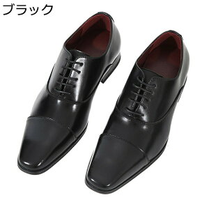 vC rWlXV[Y U[ IbNXtH[hV[Y jp hXV[Y Xg[g`bv [XAbv ʋC K  傫TCY EH[LO AE N[g amC 