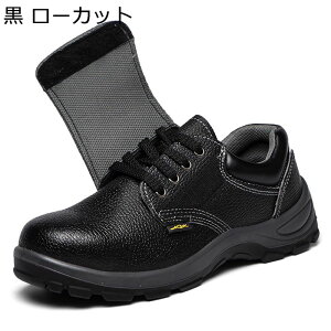 񂺂C {v U[ [XAbv }WbNe[v Jo[t ƌCXjJ Y fB[X [Jbg |c hh~\[ OJ h C y ₷ _  