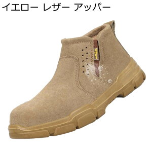 SC {v U[ N ʋCEt [XAbv TChSA Z[teB[V[Y Y fB[X ƌC ʋC h c hh~ H ₷ _ Ȃ Ռ