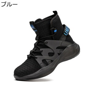 SC Z[teB[V[Y [XAbv jbg bV Y ƌC c hh nCJbg ~ y 炩 OJ   C ɂ tC ČC HC ~C