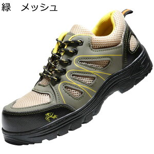 SC bV Z[teB[V[Y Y fB[X p`O ƌC ʋC h |c Bݔh~ [Jbg   H nڍ y ₷ _  K ϋv 