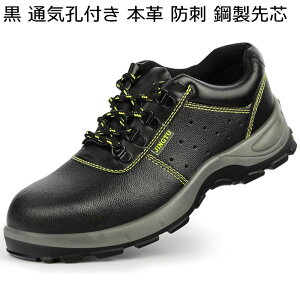 SC 傫TCY [XAbv ÓdC ≏ Z[teB[V[Y Y fB[X ƌC |c hh [Jbg ɂ H   ʋC Ȃ ɂ t  