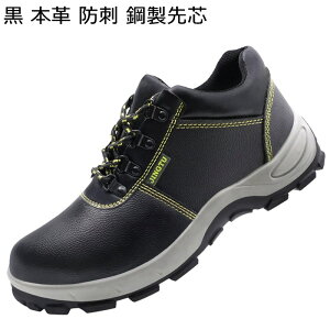 SC 傫TCY [XAbv ÓdC ≏ Z[teB[V[Y Y fB[X ƌC |c hh [Jbg ɂ H   ʋC Ȃ ɂ t  