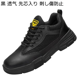 SC [XAbv Z[teB[V[Y fB[X Y bV ƌC ʋC h ܂肽 c hh~ [Jbg   nڍ y ₷ ~ E