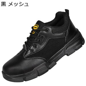 SC [XAbv Z[teB[V[Y fB[X Y bV ƌC ʋC h ܂肽 c hh~ [Jbg   nڍ y ₷ ~ E