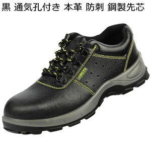 SC 傫TCY {v U[ [XAbv Z[teB[V[Y ~hJbg Y fB[X ƌC |c Bݔh~ ɂ y H C K Ȃ t 