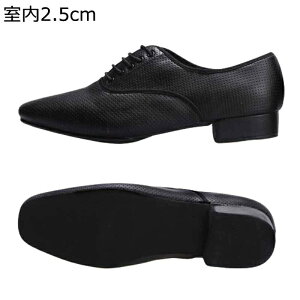 _XV[Y 24-28.0cm {v Ќ_XV[Y WYC U[ bV t\[ Y R lGʗp Ȃ 炩 y Vv S jp oG ^S /O