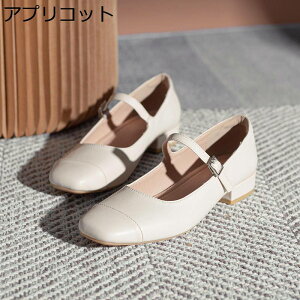 pvX fB[XpvX [WF[C jkC XNGAgD 2cm[q[ r אg  obN ~ y Pl RXv JWAV[Y oGV[Y ʋ _X