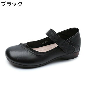 pvX fB[X tbgV[Y JWAV[Y 傫TCY {v ~ 2.5cmq[ }WbNe[v r אg n ʋ wlC }}V[Y