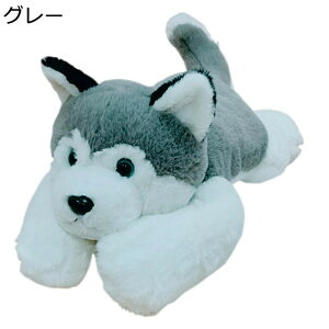 ʂ Č nXL[  Qp ₷Q ˂ނ˂ w   n QY ӂӂ C T|[g v~A oYj hV̓