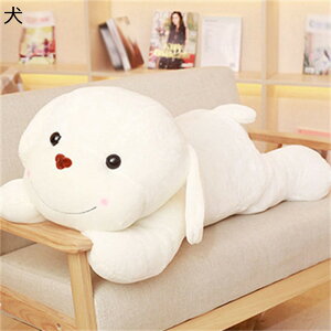 ʂ  ʂ Q 킢 O Q tt 傫TCY _炩 Q K Ƒ ̎q FB q j a NX}X 蕨