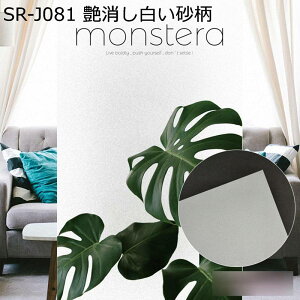 肪炷V[g L ԕ KN  t A T{e KXtB ډB V[g O猩Ȃ  œ\ \蒼\  KXUh~ C