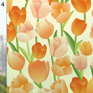 XehOX vg V[g  tB KXV[g V[g Ȃ O猩ȂV[g Ód\ ͂ œ\邾 C  KXp CeA 