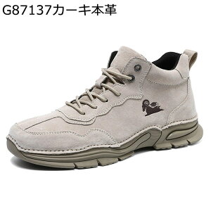 XG[h gbLOV[Y Y nCLOV[Y {v ؊v Xj[J[ nCJbg y h h ʋC oRC 傫TCY AEghA EH[LOV[Y ϖՐ JW