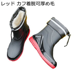 Cu[c C ƌC ϖ ϋv Y SC Z[teB[u[c V[g^Cv PVCI[ϖ J Lv AEghA K[fjO _ ނ CV[Y