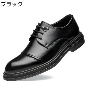 rWlXV[Y Y amC tH[}V[Y OH _[r[V[Y 傫TCY Be[W Xj[J[ ~ vC ʋC l ʋ I[V[Y