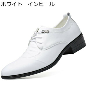 rWlXV[Y Y EFfBOV[Y 傫TCY vC amC OH _[r[V[Y g h[v tH[}V[Y ~ ʋC ʋ  tH JWA