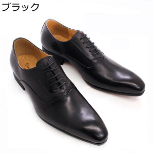 Y rWlXV[Y tH[}V[Y IbNXtH[hV[Y {v H 傫TCY g  Om[Y ҂ݍݕ^ amC vC ϋv ʋC ~ 