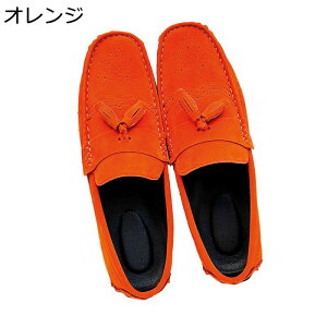 [t@[ JV U[ ^bZt {v XG[h Y 傫TCY Xb| JWAV[Y amC ItBX Vv [q[ 芴 lߒp  Ep ItB