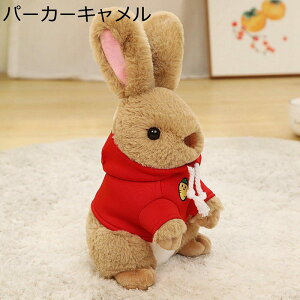 eʂ ܂ QNbV LN^[ ϑETM ߋ SQ   e 炩  􂦂 qǂ ̎q j̎q Əj  wj j