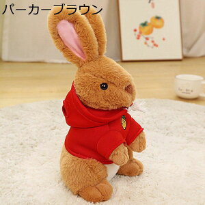 eʂ ܂ QNbV LN^[ ϑETM ߋ SQ   e 炩  􂦂 qǂ ̎q j̎q Əj  wj j