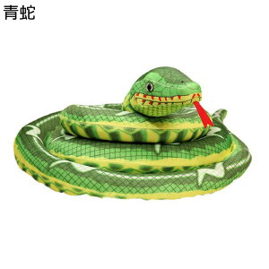 rbOTCY ւтʂ A { YQ Aj}  킢 tt INS  w QT|[g @\ т 􂦂 Mtg 蕨 Be ԗp