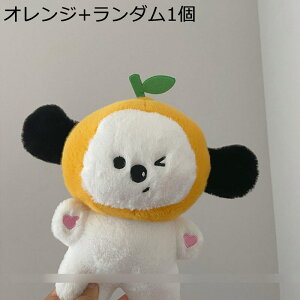 D 2_Zbg yA ʂ D  ʕXq ^ 22cm ʔ Jbv ܂ 킢 GG ӂ tt  YQ  a j C