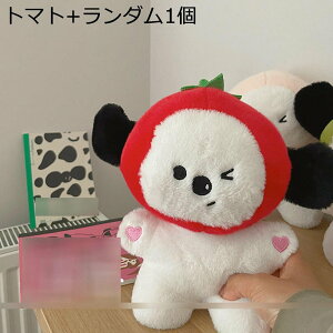 D 2_Zbg yA ʂ D  ʕXq ^ 22cm ʔ Jbv ܂ 킢 GG ӂ tt  YQ  a j C