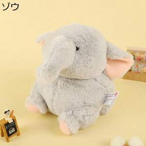 D 铮 ʂ e    ^ 22cm ߋ  ܂  ӂӂ JCC GG L[g 炩 K   ӂ  u 