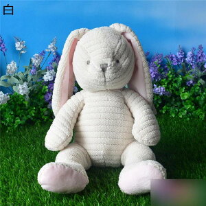 eD ʂ  e ETM p 40cm    YQ  G L[g ObY _炩  ˂ނ˂ NX}Xv[g  a