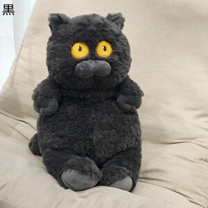 ʂ D D  ܂  40cm L   F e   킢 G ӂӂ ӂ _炩 p  jv[g a ˂ނ˂ N