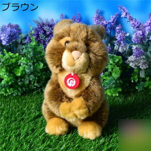  D D A { e ETM  JCC GG  ӂӂ tt YQ oYj a NX}Xv[g CeA 