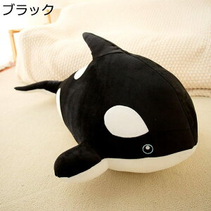  L Tʂ D   Cm  ӂӂ ӂ  ܂   􂦂 CeA  c  oYj v[g